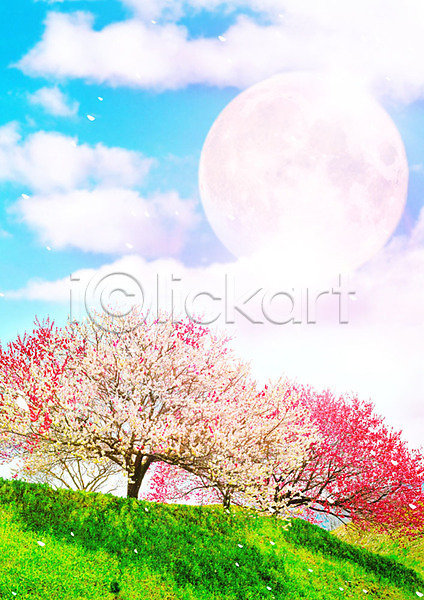 화려 사람없음 PSD 편집이미지 구름(자연) 꽃잎 달 백그라운드 벚나무 봄 봄풍경 자연 잔디 초원(자연) 카피스페이스 컬러풀 풍경(경치) 하늘