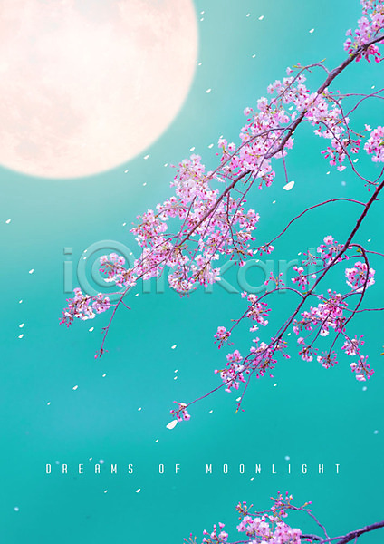 화려 사람없음 PSD 편집이미지 꽃잎 낙화 달 달빛 백그라운드 벚꽃 벚나무 봄 봄풍경 자연 카피스페이스 풍경(경치) 하늘색
