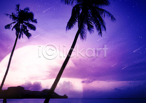 화려 사람없음 PSD 편집이미지 구름(자연) 달 바다 밤하늘 백그라운드 별 보라색 섬 야간 야자수 여름(계절) 유성 자연 카피스페이스 파란색 풍경(경치) 해변 휴양지
