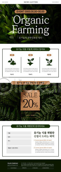 사람없음 PSD ZIP 뉴스레터 웹템플릿 템플릿 고사리 나뭇잎 세일 식물 유기농 초록색