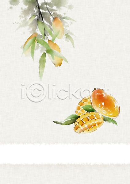 달콤 신선 사람없음 PSD 일러스트 과일 나뭇가지 나뭇잎 망고 번짐 수채화(물감) 잎 주황색 화선지