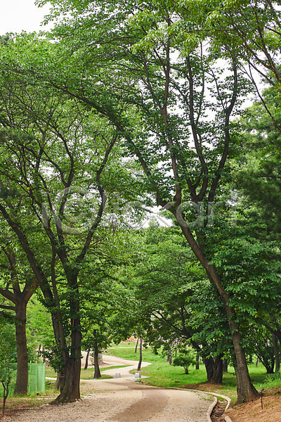 사람없음 JPG 포토 관광지 나무 야외 여름(계절) 여행 유적지 주간 파주 파주장릉 풍경(경치) 한국 한국전통