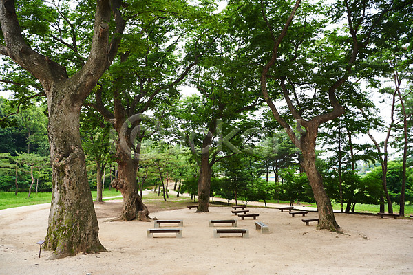 사람없음 JPG 포토 관광지 나무 벤치 야외 여름(계절) 여행 유적지 주간 파주 파주장릉 풍경(경치) 한국 한국전통