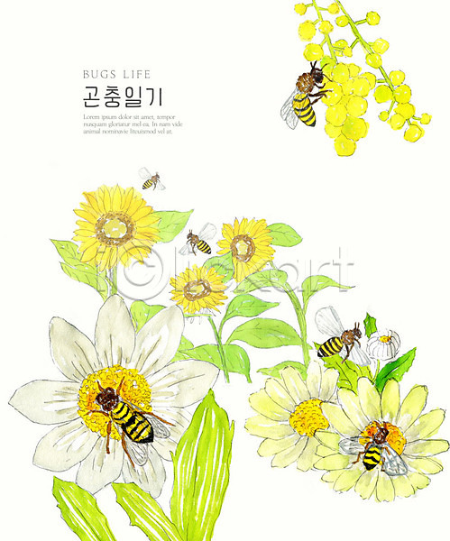 사람없음 PSD 일러스트 곤충 꽃 꿀벌 생태계 수채화(물감) 여러마리 자연 컬러풀 풍경(경치)