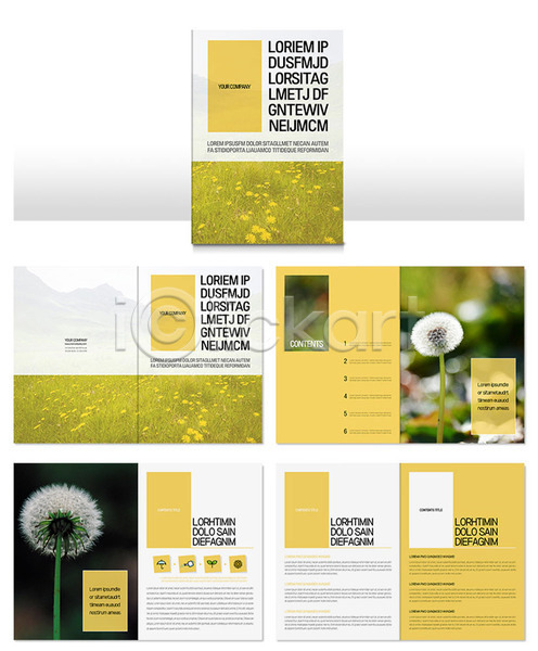 사람없음 INDD ZIP 인디자인 템플릿 계절 노란색 리플렛 민들레 민들레홀씨 봄 봄꽃 절기 팜플렛