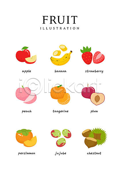 사람없음 AI(파일형식) 일러스트 감 과일 귤 대추 딸기 바나나 밤(견과류) 복숭아 사과 식재료 음식 자두 제철과일