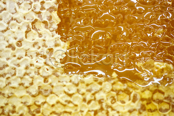 사람없음 JPG 근접촬영 포토 가득함 꿀 꿀벌 꿀채취 농업 벌꿀 벌집 야외 양봉 양봉업 체코