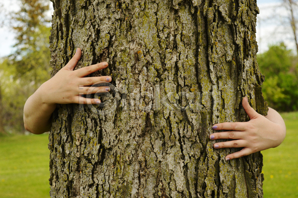 신체부위 JPG 포토 해외이미지 나무 생태계 손 안기 야외 에코 자연 초록색 포옹