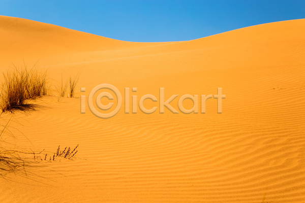 사람없음 JPG 포토 해외이미지 노란색 모래 모로코 사막 야외 주간 풍경(경치)