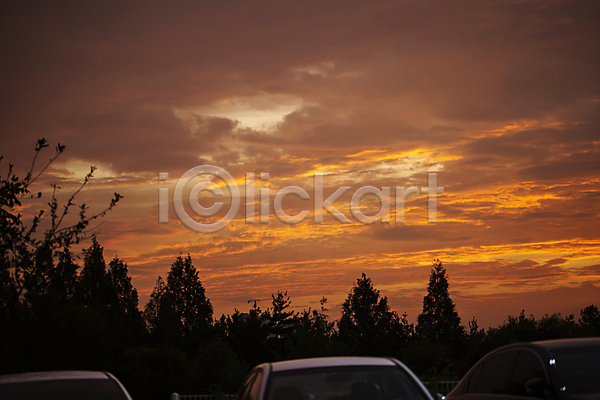 사람없음 JPG 실루엣 포토 구름(자연) 나무 야간 야외 일몰 일산 자동차 퇴근길 풍경(경치) 하늘