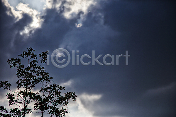 사람없음 JPG 실루엣 포토 나무 먹구름 안양 야외 주간 풍경(경치) 하늘 흐림