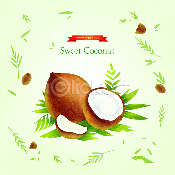 달콤 사람없음 PSD 일러스트 과일조각 단면 슬라이스 연두색 잎 제철 제철과일 제철음식 코코넛