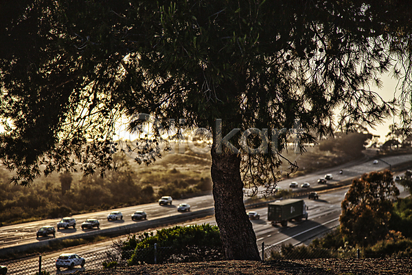 휴식 사람없음 JPG 포토 고속도로 나무 로스앤젤레스 미국 야외 여행 자동차 주간 해외풍경