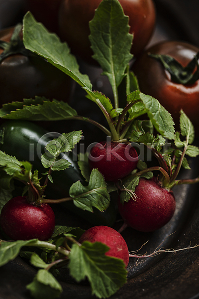 신선 사람없음 JPG 포토 가득함 식재료 실내 적환무 채소 토마토
