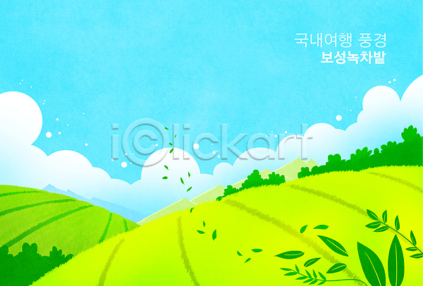 사람없음 PSD 일러스트 구름(자연) 국내여행 녹차 보성 보성녹차밭 산 연두색 잎 풍경(경치) 하늘 하늘색