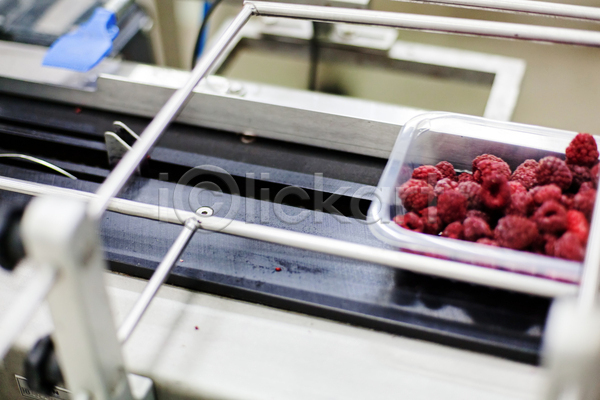 사람없음 JPG 포토 해외이미지 공장 기계 냉동 냉동식품 담기 산딸기 식품공장 제조 포장용기