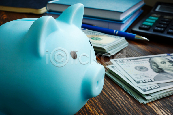 사람없음 JPG 포토 해외이미지 경제 금융 나무배경 돼지저금통 볼펜 실내 지폐