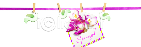 떨어짐 성장 신선 사람없음 JPG 포토 해외이미지 4월 개화 겨울 계절 공원 꽃 꽃다발 꽃무늬 꽃잎 내추럴 밭 백그라운드 벚꽃 봄 부활절 숲 식물 신용카드 원예 잎 자연 정원 줄기 초록색 해외포토 헌병 환경 휴가