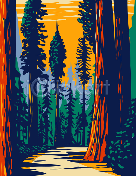 사람없음 JPG 포토 해외이미지 국립공원 그림 나무 숲길 울창 자연 카툰스타일 캘리포니아 풍경(경치)