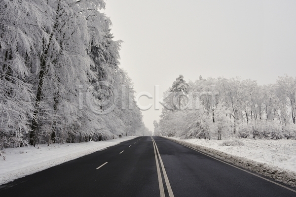 사람없음 JPG 포토 해외이미지 가로수 겨울 나무 눈(날씨) 도로 야외 자연 풍경(경치) 하늘
