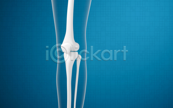사람없음 3D JPG 해외이미지 관절뼈 다리뼈 의학 파란색