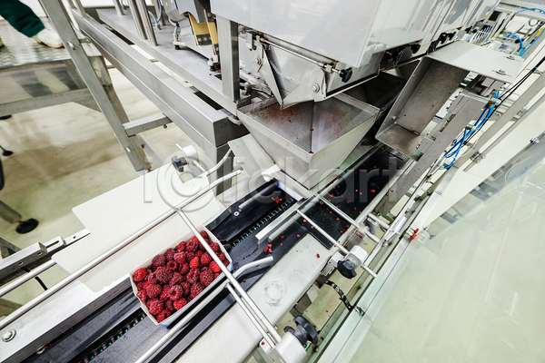 사람없음 JPG 포토 해외이미지 공장 기계 냉동 냉동식품 담기 산딸기 식품공장 제조