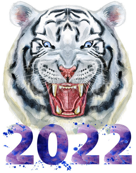 사람없음 JPG 일러스트 포토 해외이미지 2022년 디자인 미술 백호 수채화(물감) 임인년 포효 호랑이 호랑이띠