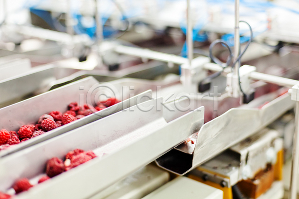 사람없음 JPG 아웃포커스 포토 해외이미지 공장 기계 냉동 냉동식품 분류 산딸기 식품공장 일렬 제조