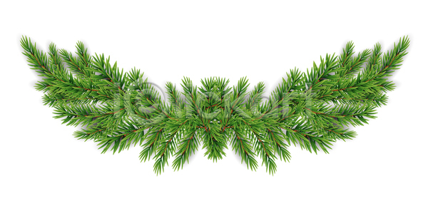 새로움 축하 사람없음 JPG 일러스트 포토 해외이미지 12월 가문비나무 겨울 고립 그래픽 나무 나뭇가지 디자인 디테일 백그라운드 상록수 세트 소나무 숲 식물 엘리먼트 연도 오브젝트 자연 장식 전나무 전통 초록색 추상 침엽수 크리스마스 투명 해외일러스트 현실 휴가 흰색