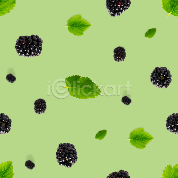 사람없음 JPG 포토 해외이미지 블랙베리 잎 초록배경 패턴