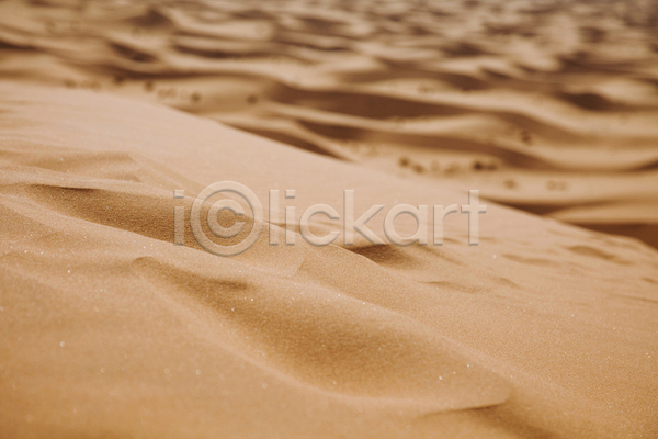 사람없음 JPG 근접촬영 아웃포커스 포토 해외이미지 갈색 모래 사막 야외 주간 풍경(경치)