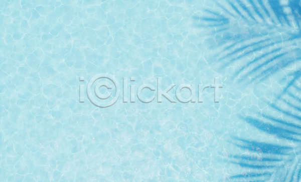 사람없음 3D JPG 포토 해외이미지 그림자 물 물결 백그라운드 야자수잎 여름(계절) 하늘색