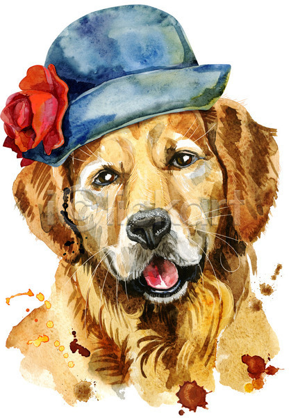 사람없음 JPG 일러스트 포토 해외이미지 강아지 개 디자인 리트리버 모자(잡화) 미술 백그라운드 수채화(물감)