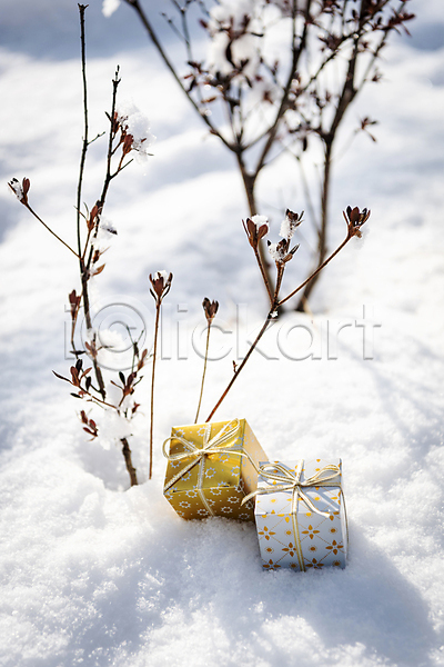 사람없음 JPG 포토 겨울 눈(날씨) 눈덮임 두개 미니어처 선물상자 설원 야외 오브젝트 주간