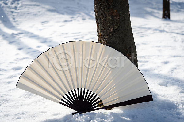 사람없음 JPG 근접촬영 포토 겨울 나무 눈(날씨) 눈덮임 새해 설원 야외 오브젝트 전통소품 접부채 주간 한국전통