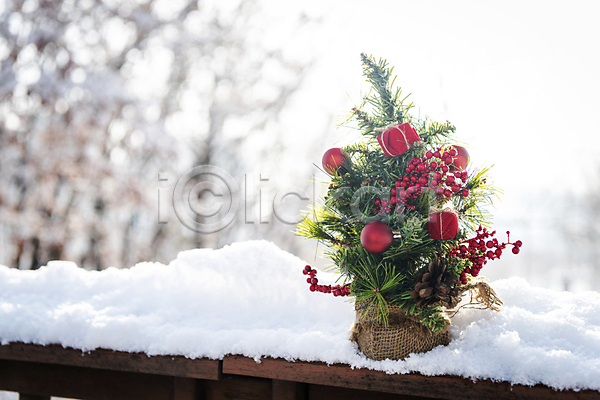 사람없음 JPG 아웃포커스 포토 겨울 나무 나무울타리 눈(날씨) 눈덮임 미니트리 설원 야외 오브젝트 주간 크리스마스 크리스마스용품 크리스마스트리