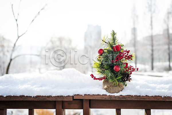 사람없음 JPG 포토 겨울 나무울타리 눈(날씨) 눈덮임 미니트리 설원 야외 오브젝트 주간 크리스마스 크리스마스용품 크리스마스트리