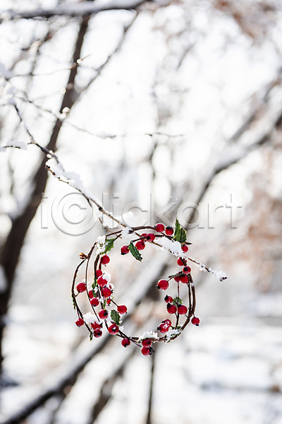 사람없음 JPG 아웃포커스 포토 걸림 겨울 나뭇가지 눈(날씨) 설원 야외 오브젝트 장식 주간 크리스마스 크리스마스리스 크리스마스용품 크리스마스장식