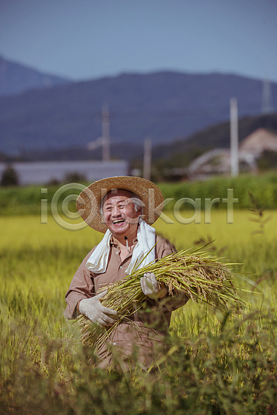 70대 남자 노년 노인남자한명만 한국인 한명 JPG 아웃포커스 앞모습 포토 가을(계절) 귀농 논 농부 농사 농촌 들기 미소(표정) 밀짚모자 벼 상반신 수건 수확 야외 여주(지역) 장갑 전원생활 주간 추수