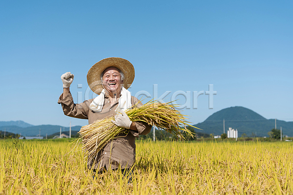 70대 남자 노년 노인남자한명만 한국인 한명 JPG 앞모습 포토 가을(계절) 귀농 논 농부 농사 농촌 들기 미소(표정) 밀짚모자 벼 상반신 수건 수확 야외 여주(지역) 장갑 전원생활 주간 주먹 추수 파이팅