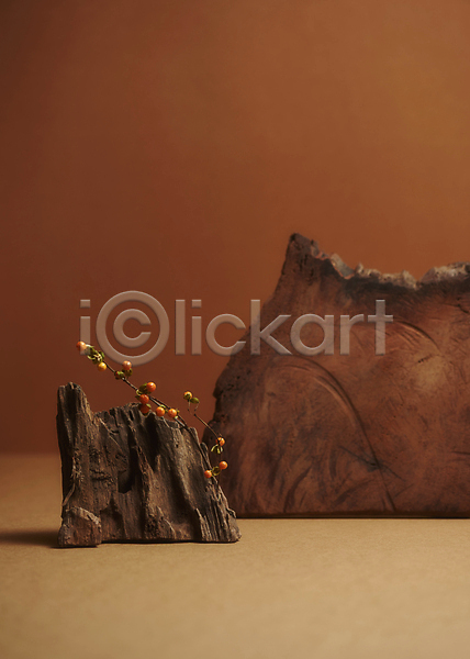 감성 분위기 사람없음 JPG 포토 가을(계절) 갈색배경 나무조각 나뭇가지 목재 산 스튜디오촬영 실내 열매 오브젝트