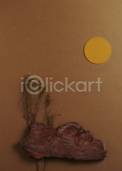 감성 분위기 사람없음 JPG 포토 하이앵글 가을(계절) 갈색배경 나무조각 목재 보름달 스튜디오촬영 실내 오브젝트 조화