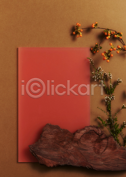 감성 분위기 사람없음 JPG 포토 하이앵글 가을(계절) 갈색배경 나무조각 목재 스튜디오촬영 실내 열매 오브젝트 조화 카피스페이스