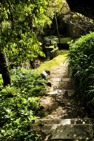 사람없음 JPG 포토 해외이미지 계단 그늘 길 리스본 시골 야외 주간 풀(식물) 풍경(경치)