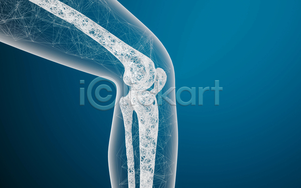 사람없음 3D JPG 해외이미지 골다공증 관절뼈 다리뼈 뼈 선 의학 파란색 폴리곤