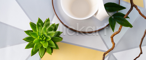 사람없음 JPG 포토 해외이미지 구성 내부 내추럴 노란색 디자이너 디자인 라이프스타일 머리위 목업 목재 배너 백그라운드 사무실 스케치 우주 위치 자연 작업실 장식 정상 주택 직장 책상 탁자 파스텔톤 표면 플랫 플랫레이 해외포토 화초 흰색