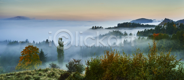 사람없음 JPG 포토 해외이미지 가문비나무 가을 계절 나무 내추럴 단풍 뿌연 산등성이 새벽 숲 시골 식물 아침 안개 야외 언덕 여행 유럽 일출 잎 자연 초록색 컬러풀 파란색 풍경 해외포토