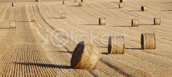 건조 사람없음 JPG 포토 해외이미지 계절 낟알 날씨 노란색 농경지 농업 농장 땅 롤 맑음 먹이 문화 뭉치 밀 밀짚 밭 밭일 볏짚 북쪽 수확 시골 시리얼 식물 야외 여름 유럽 음식 자르기 자연 초록색 초원 추상 태양 파란색 풍경 프랑스 프랑스어 하늘 해외포토 황금