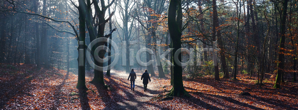 기쁨 산책 함께함 행복 휴식 사람 사람없음 성인 여자 JPG 포토 해외이미지 2 건강 걷기 계절 공원 관계 나무 네덜란드 라이프스타일 맑음 목재 뿌연 숲 시골 야외 잎 자연 커플 컬러풀 해외포토 햇빛