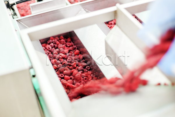 사람없음 JPG 포토 해외이미지 공장 기계 냉동 냉동식품 붓기 산딸기 식품공장 제조